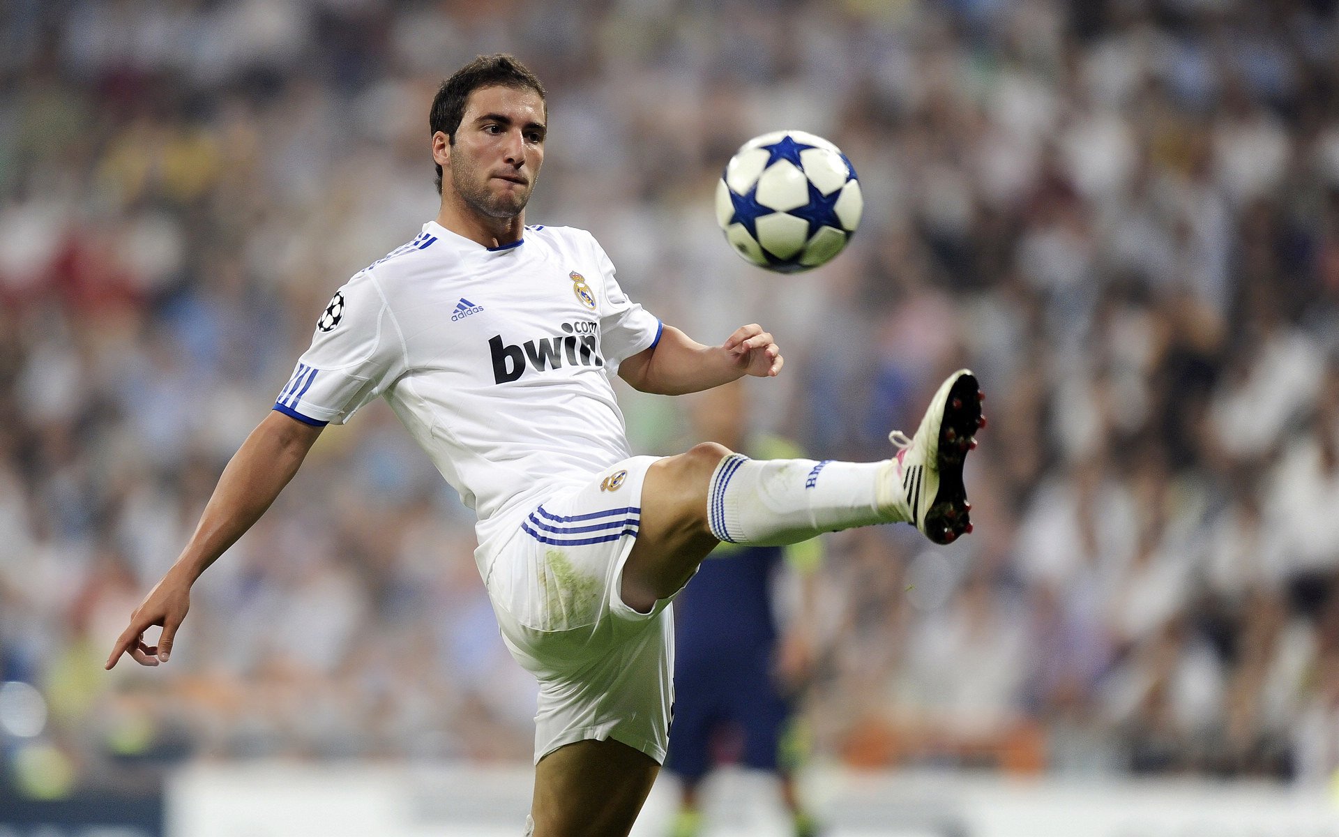 乐鱼体育官网-本菲卡锋线配合默契，频造杀机，本菲卡为什么叫本菲卡